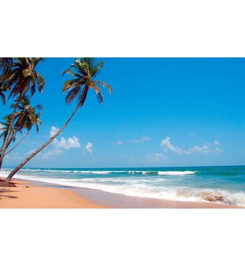 Тур из Ташкента на ГОА!